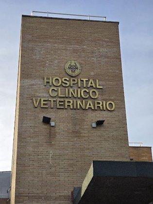 Veterinary Hospital Clinic