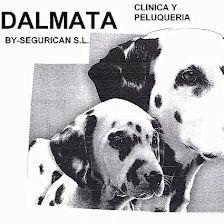 PELUQUERIA Y ESTETICA CANINA. DÁLMATA