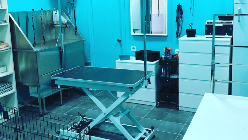 Peluqueria Canina Mordisquitos