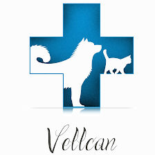 Clínica Veterinaria Vellcan