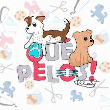 Qué Pelos! Peluquería Canina a Domicilio