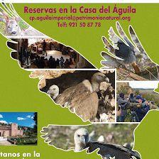 Casa del Aguila Imperial