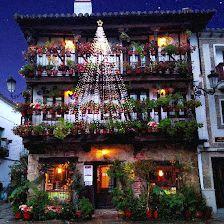 Casa de las Flores. Museo del Juguete de Hojalata. Visita al Casco Antiguo con audioguías.