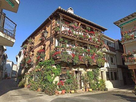 Casa de las Flores. Museo del Juguete de Hojalata. Visita al Casco Antiguo con audioguías.