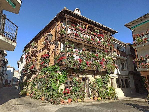 Casa de las Flores. Museo del Juguete de Hojalata. Visita al Casco Antiguo con audioguías.