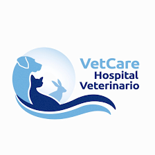 Veterinary Hospital Fuente el Saz 24h
