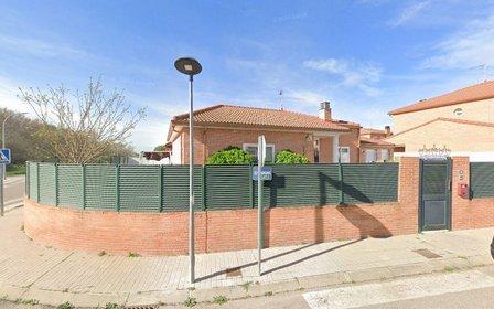 Peluquería Canina Gorditos