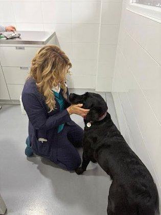 Veterinary Hospital Fuente el Saz 24h