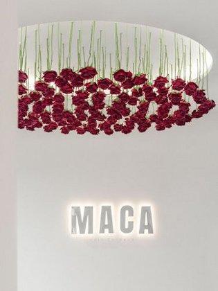 MACA HAIR THERAPY