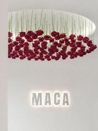 MACA HAIR THERAPY