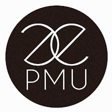 Diseño de cejas, micropigmentación y microblading Madrid- Estefaniapmu