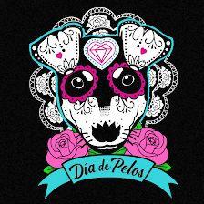 DIA DE PELOS