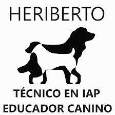 Heriberto Adiestrador y Educador Canino