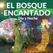 El Bosque Encantado