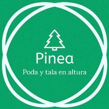 Pinea