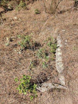 Necropolis de Valdesanmartin. El Tiemblo