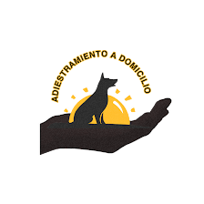 Adiestramiento a domicilio