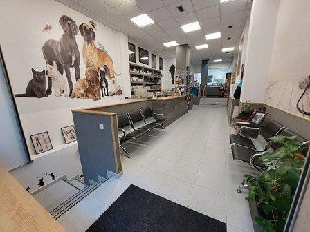 Clínica Veterinaria Mini