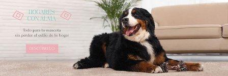 Amarok Pet Shop