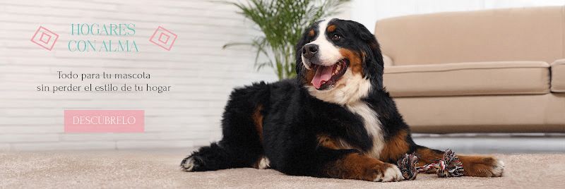 Amarok Pet Shop