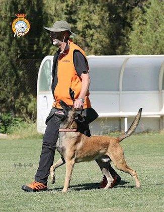 CANUBER EDUCACIÓN CANINA Y GUARDERÍA