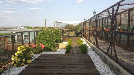 Gatosphera Hotel Felino