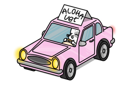 Aloha Vet