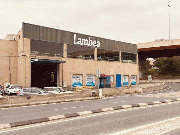 Lambea