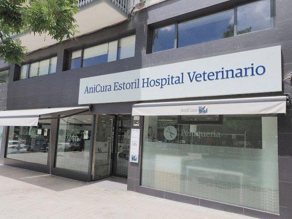 Estoril Veterinary Hospital