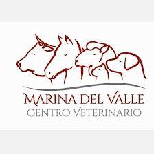 CENTRO VETERINARIO MARINA DEL VALLE