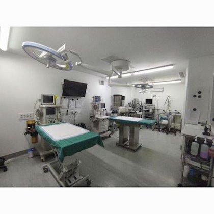 Medivet Sur Vallecas