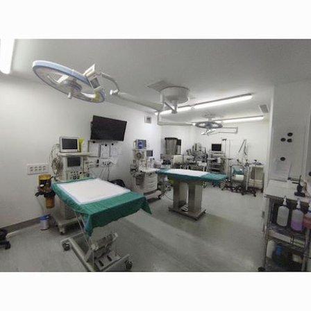 Medivet Sur Vallecas