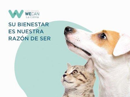 Clínica Veterinaria WECAN La Colina