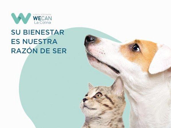 Clínica Veterinaria WECAN La Colina