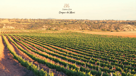 Bodegas Del Muni