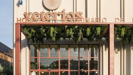 Hospital Veterinario de Referencia Veterios
