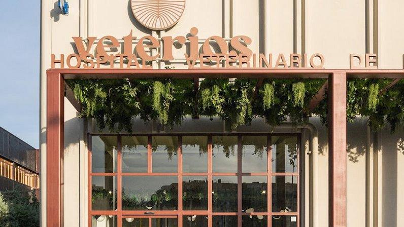 Hospital Veterinario de Referencia Veterios