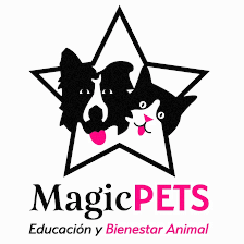 Magic Pets, Dog Training in Positive