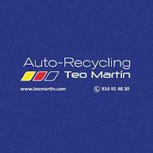 Auto-Recycling Teo Martín
