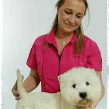 Peluqueria Canina Carmen Ruiz