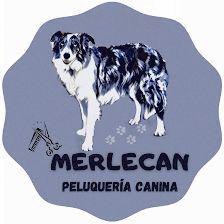 Peluquería canina MERLECAN