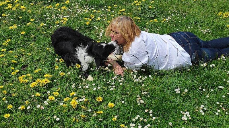 Magic Pets, Dog Training in Positive