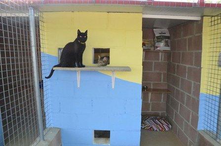 Farm Kennels Madrid La Luna