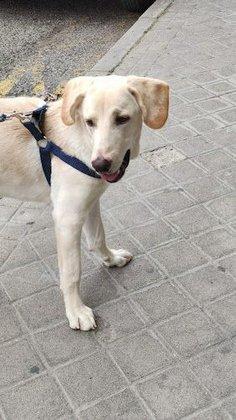 Clínica Veterinaria la Solana