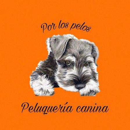 Peluqueria canina Por los Pelos