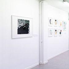 Galería De Arte A Ciegas