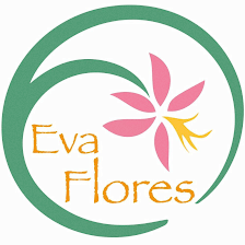 Eva Flores - Microblading Micropigmentación y Maquillaje