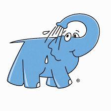 Elefante Azul Cuenca
