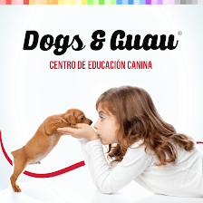 Dogs&Guau