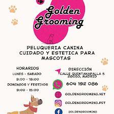 Peluquería canina Golden grooming